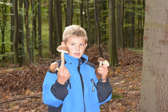dsc_0056.jpg dsc_0056.jpg